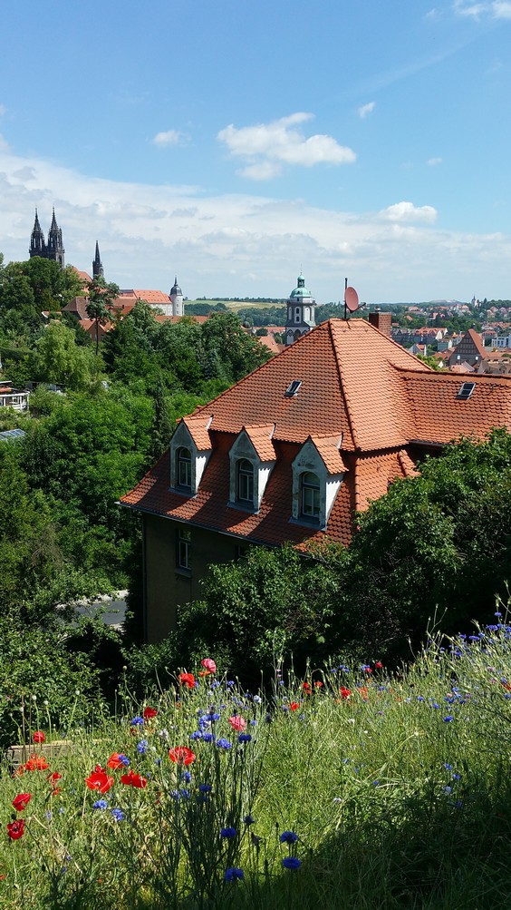 Blick von der Dachterrasse auf die Altstadt
